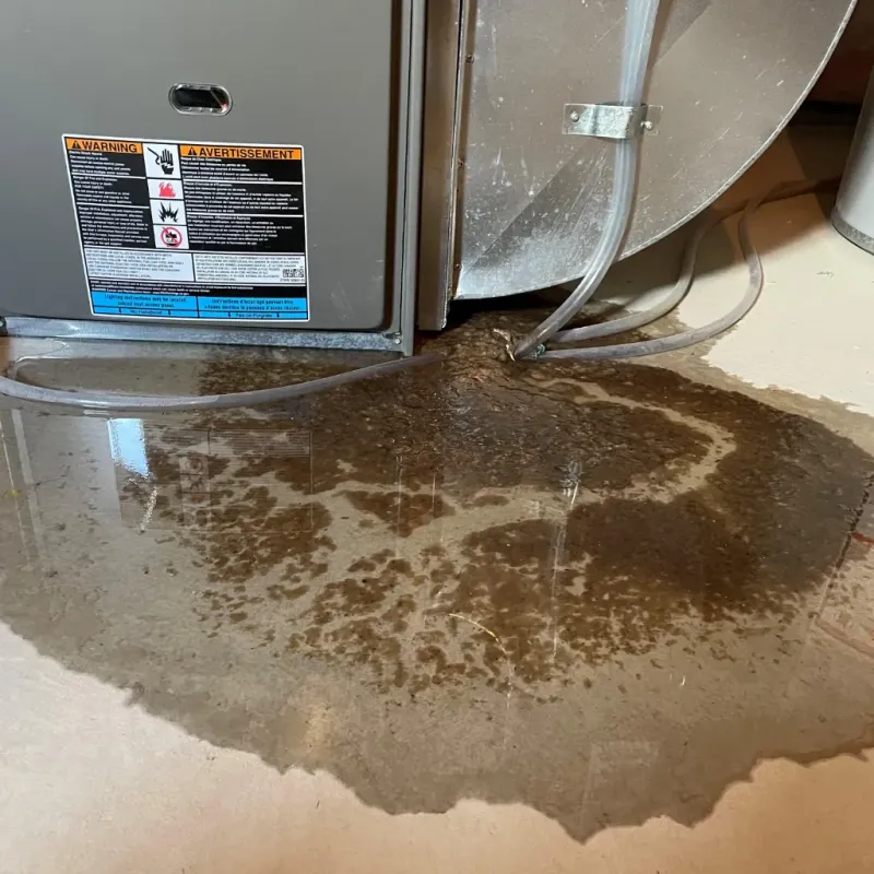 Appliance Leak Cleanup in Kosciusko County, IN